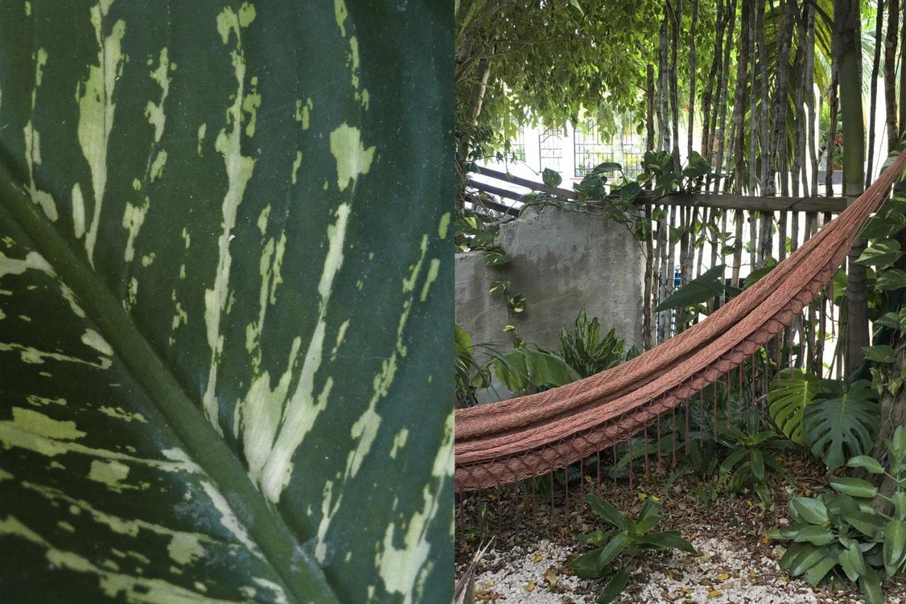 Wabi Sabi Garden Guesthouse By Amara Concepts. Тулум Экстерьер фото